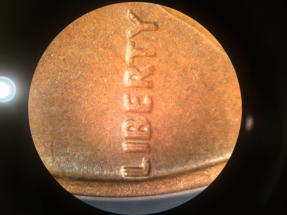 Best-Variety-Found-CRH--LC-Post-Yours!